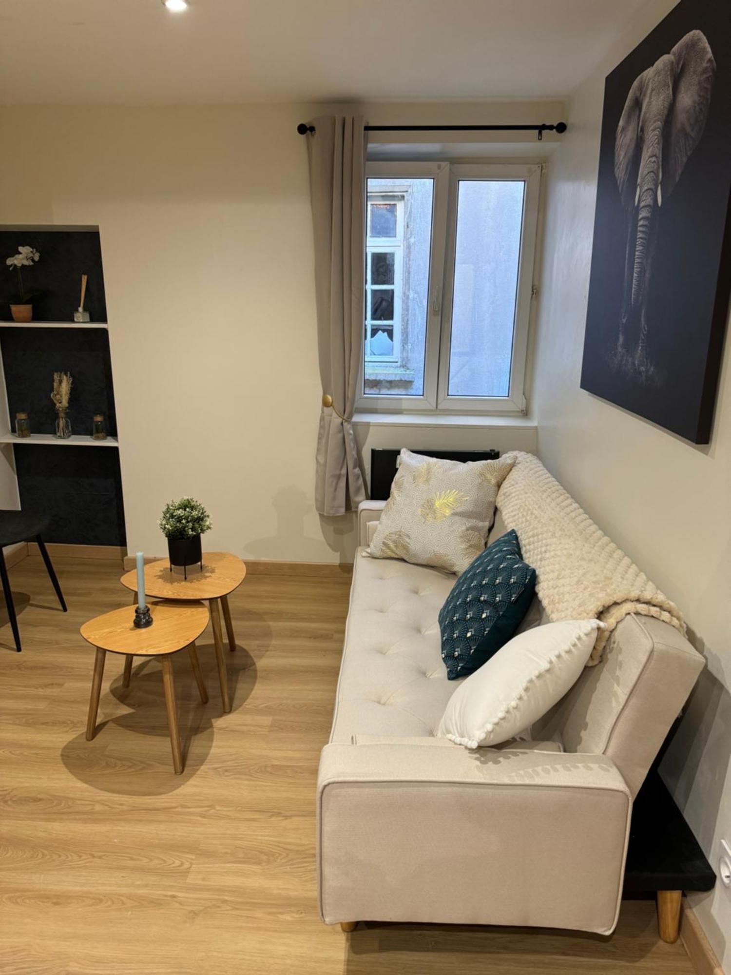 Appartement Nancy Blue Stan Extérieur photo